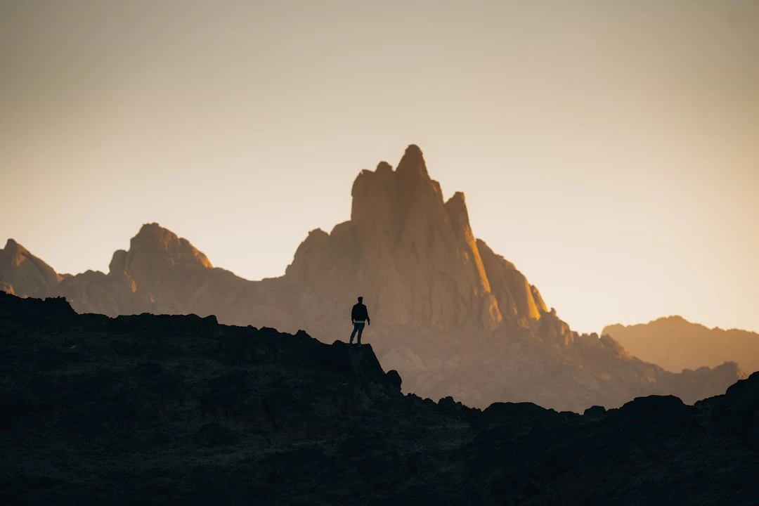 prompt-engineering-by-google-huong-dan-thuc-chien-tu-ky-su-phan-mem